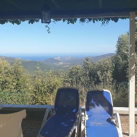 Vos Vacances A Lama France Corse Eksteriør bilde