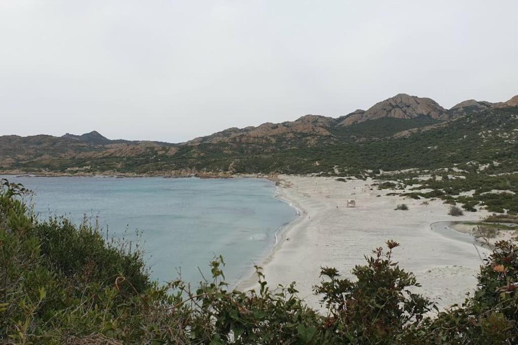 Vos Vacances A Lama France Corse Eksteriør bilde