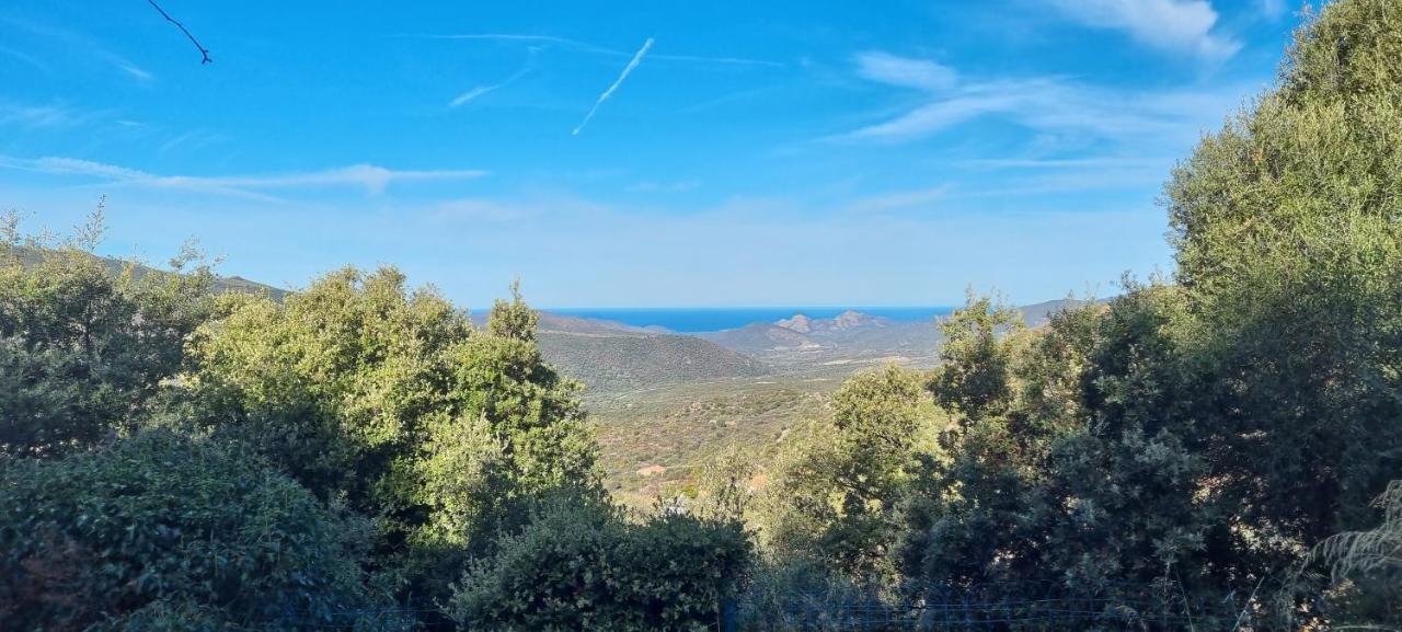 Vos Vacances A Lama France Corse Eksteriør bilde